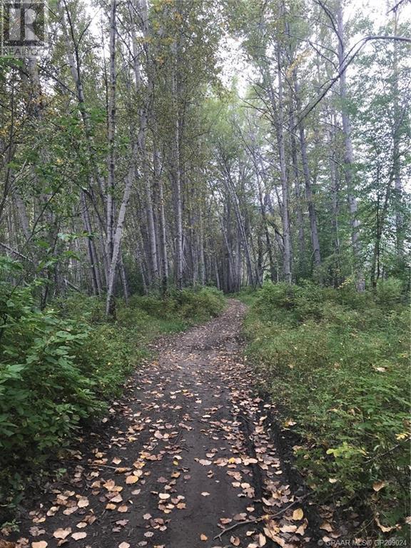 35 Wapiti River Recreation