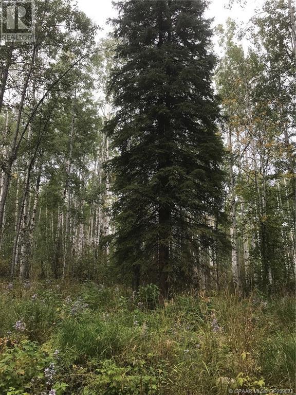 29 Wapiti River Recreation