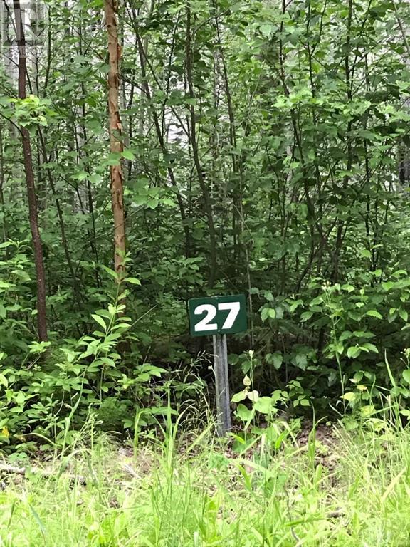 27 Wapiti River Recreation